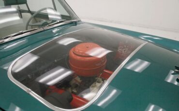 Ford-Crestline-1954-Killarney-Green-White-16