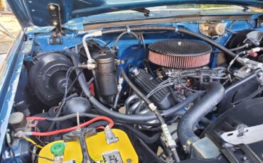 Ford-F-150-1984-Standard-Cab-Pickup-31