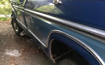 Ford-F-series-1977-Blue-Blue-8