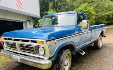 Ford-F-series-1977-Blue-Blue-9