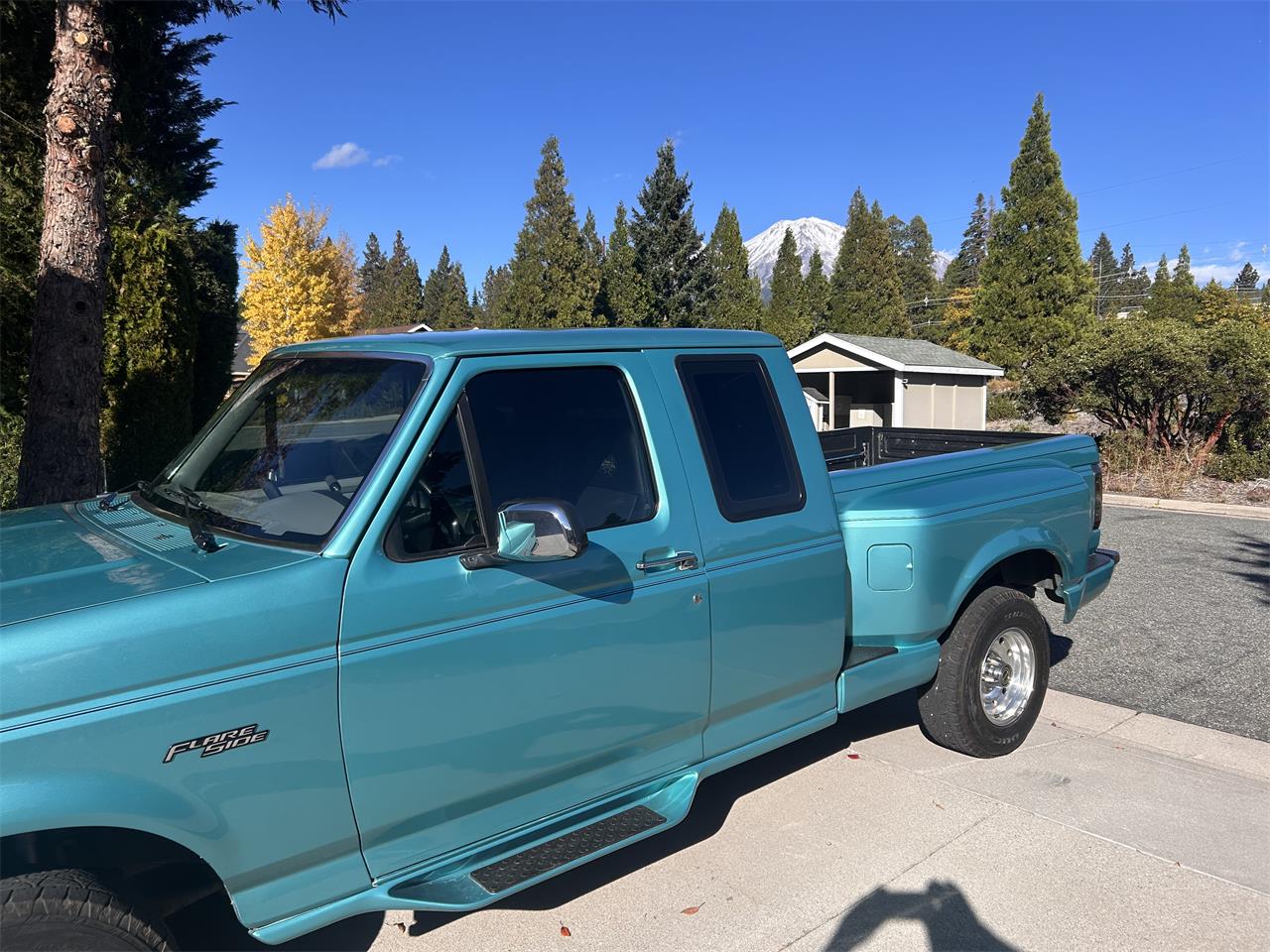 Ford-F150-1995-Calypso-Green-Gray-3