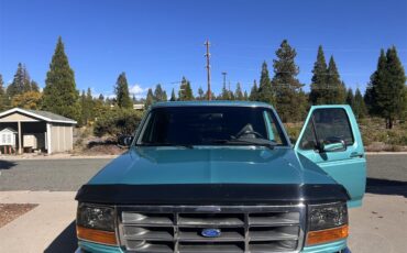 Ford-F150-1995-Calypso-Green-Gray
