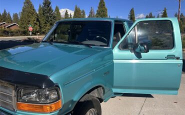 Ford-F150-1995-Calypso-Green-Gray-4