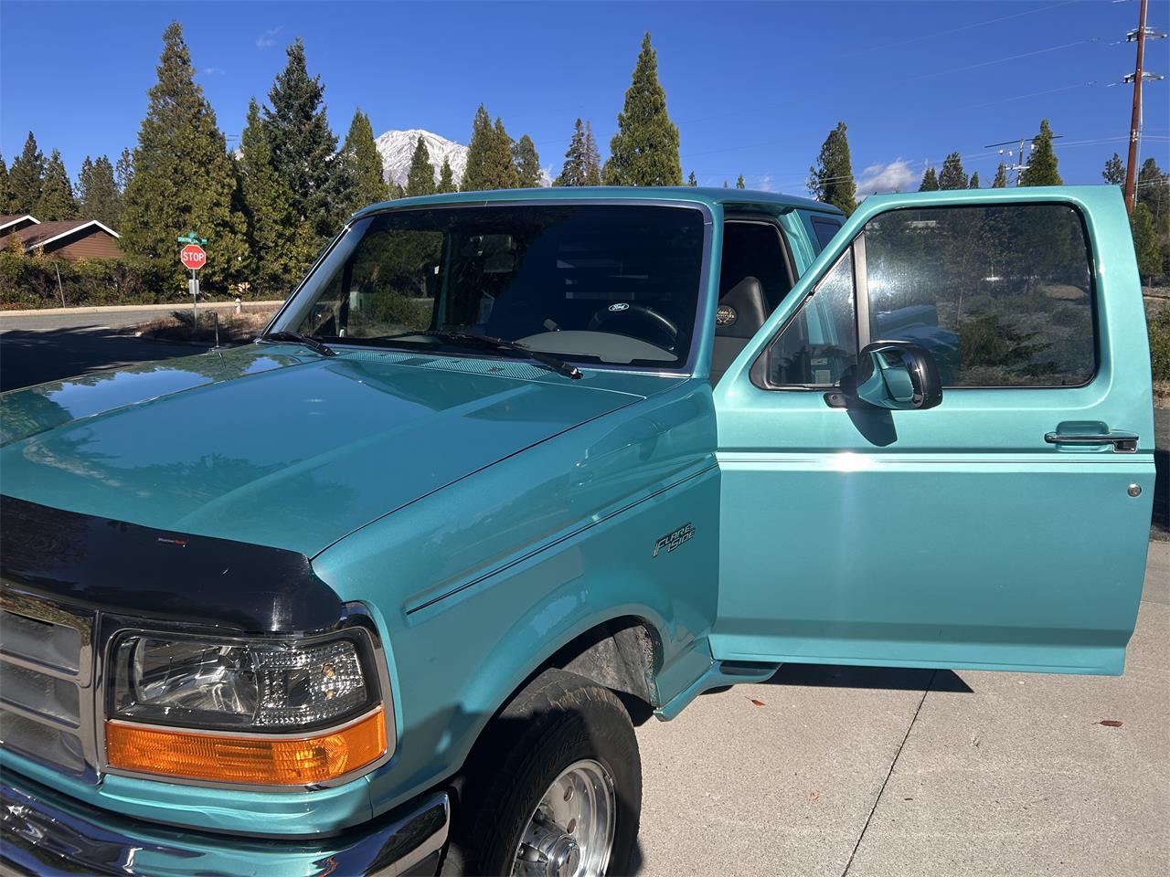 Ford-F150-1995-Calypso-Green-Gray-4