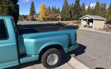 Ford-F150-1995-Calypso-Green-Gray-5