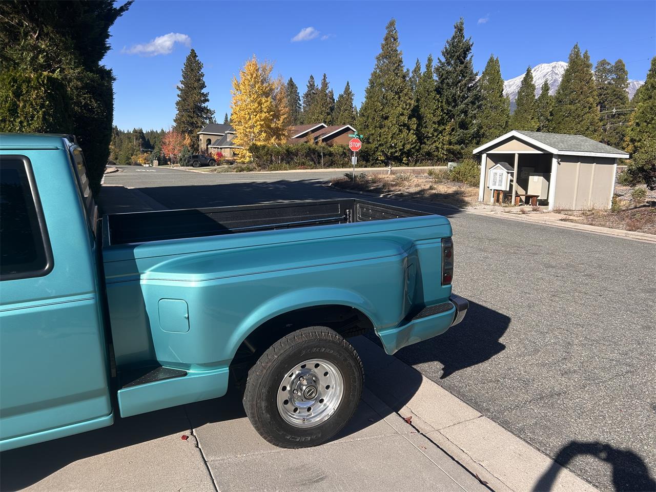 Ford-F150-1995-Calypso-Green-Gray-5