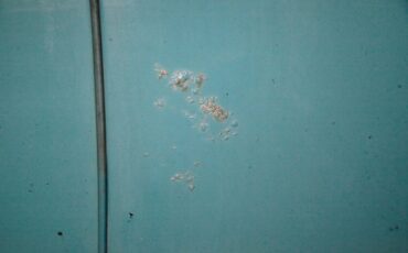 Ford-Fairlane-1955-Mountain-Green-Aqua-28