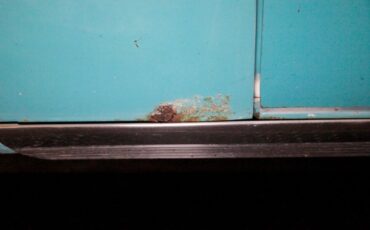 Ford-Fairlane-1955-Mountain-Green-Aqua-34