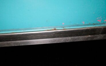 Ford-Fairlane-1955-Mountain-Green-Aqua-35