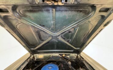 Ford-Fairlane-500-1966-Ivy-Green-Metallic-Gold-29