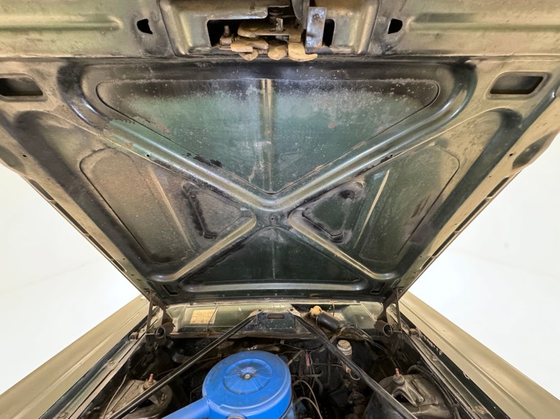 Ford-Fairlane-500-1966-Ivy-Green-Metallic-Gold-29