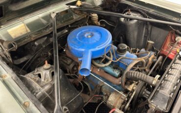 Ford-Fairlane-500-1966-Ivy-Green-Metallic-Gold-30