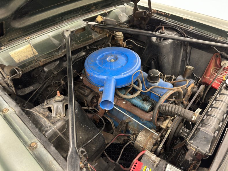 Ford-Fairlane-500-1966-Ivy-Green-Metallic-Gold-30