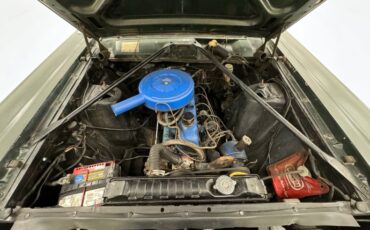 Ford-Fairlane-500-1966-Ivy-Green-Metallic-Gold-31