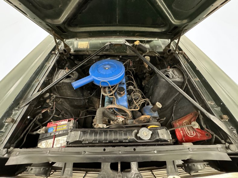 Ford-Fairlane-500-1966-Ivy-Green-Metallic-Gold-31