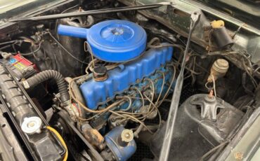 Ford-Fairlane-500-1966-Ivy-Green-Metallic-Gold-32