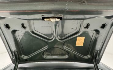 Ford-Fairlane-500-1966-Ivy-Green-Metallic-Gold-33