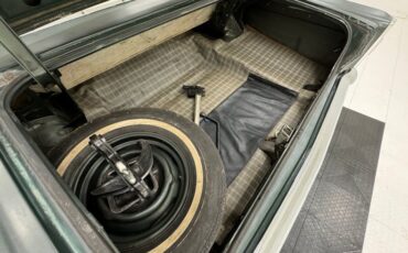 Ford-Fairlane-500-1966-Ivy-Green-Metallic-Gold-34