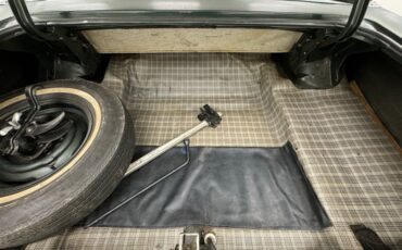 Ford-Fairlane-500-1966-Ivy-Green-Metallic-Gold-35