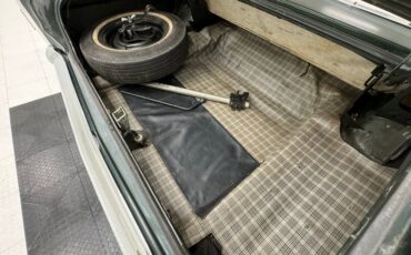 Ford-Fairlane-500-1966-Ivy-Green-Metallic-Gold-36