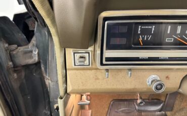 Ford-Fairlane-500-1966-Ivy-Green-Metallic-Gold-47