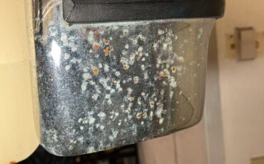 Ford-Granada-1977-Cream-Cream-25