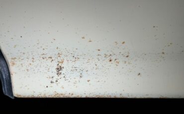 Ford-Granada-1977-Cream-Cream-28