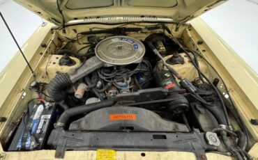 Ford-Granada-1977-Cream-Cream-40