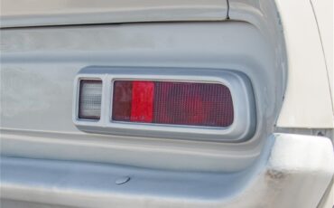 Ford-Maverick-1973-Ascot-Gray-Gray-25