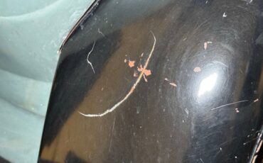 Ford-Model-a-1930-Elkpoint-Green-Tan-29