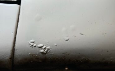 Ford-Mustang-1964-Wimbledon-White-Blue-30