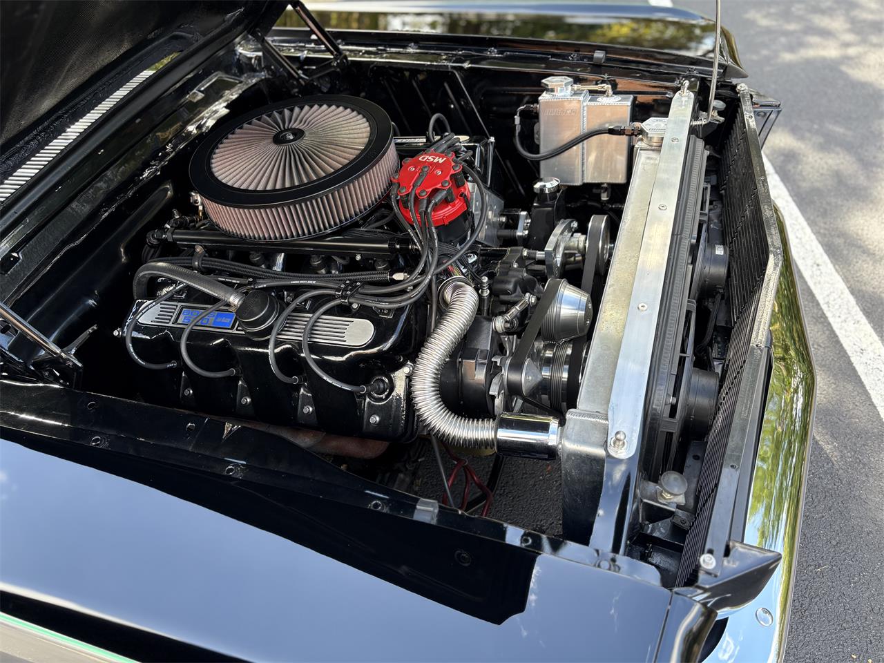 Ford-Mustang-1965-BlackGray-Black-21