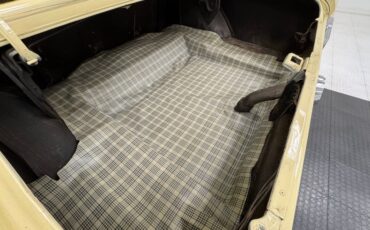 Ford-Mustang-1965-Phoenician-Yellow-Black-13