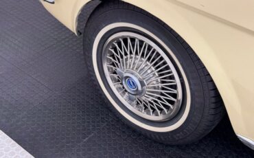 Ford-Mustang-1965-Phoenician-Yellow-Black-25