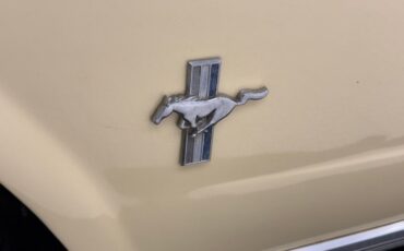 Ford-Mustang-1965-Phoenician-Yellow-Black-26