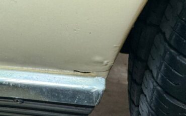 Ford-Mustang-1965-Phoenician-Yellow-Black-3