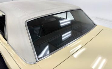 Ford-Mustang-1965-Phoenician-Yellow-Black-32