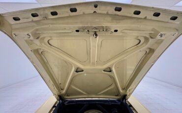 Ford-Mustang-1965-Phoenician-Yellow-Black-4