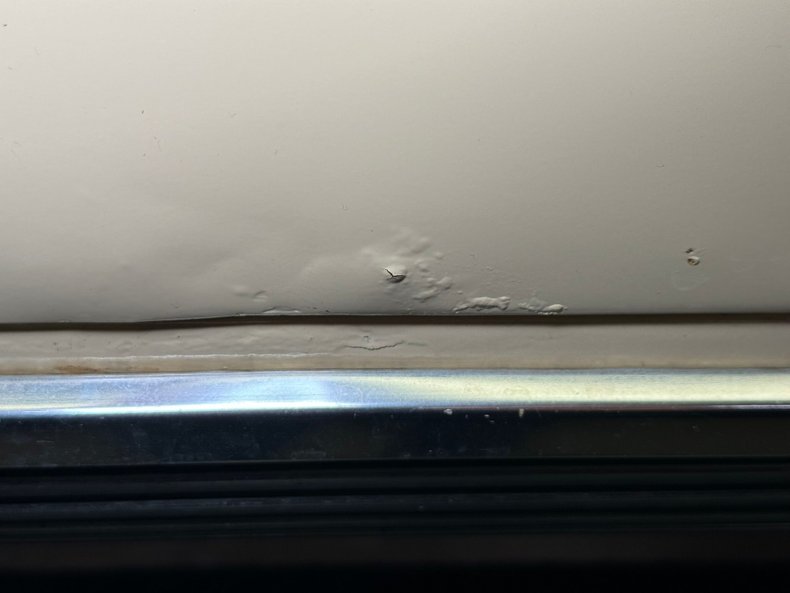 Ford-Mustang-1965-Phoenician-Yellow-Black-40