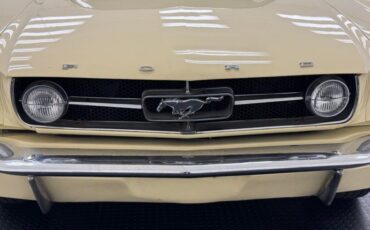 Ford-Mustang-1965-Phoenician-Yellow-Black-44