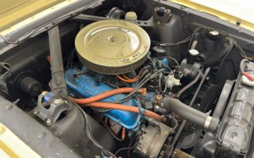 Ford-Mustang-1965-Phoenician-Yellow-Black-6