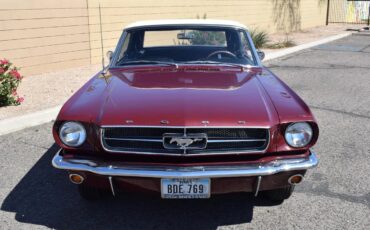 Ford-Mustang-1965-Vintage-Burgundy-Black-16