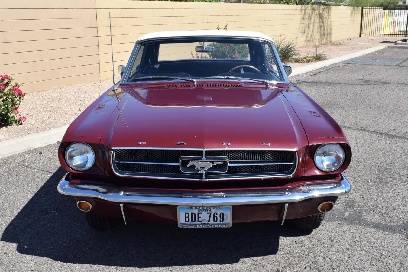 Ford-Mustang-1965-Vintage-Burgundy-Black-16