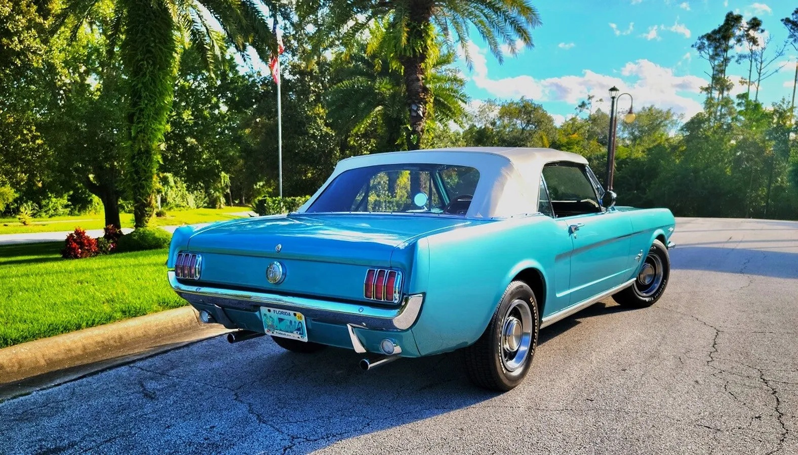 Ford-Mustang-1966-Tahoe-Turquoise-White-3