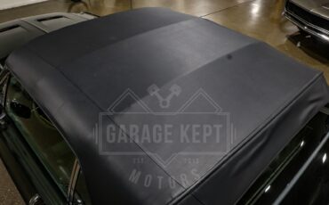 Ford-Mustang-1967-Green-Green-15