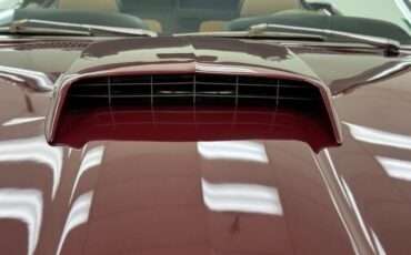 Ford-Mustang-1969-Maroon-Black-44