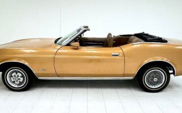Ford-Mustang-1971-Copper-Ginger-1