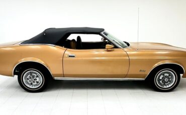 Ford-Mustang-1971-Copper-Ginger-12