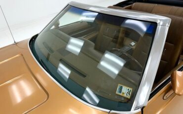 Ford-Mustang-1971-Copper-Ginger-22