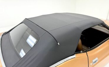 Ford-Mustang-1971-Copper-Ginger-25